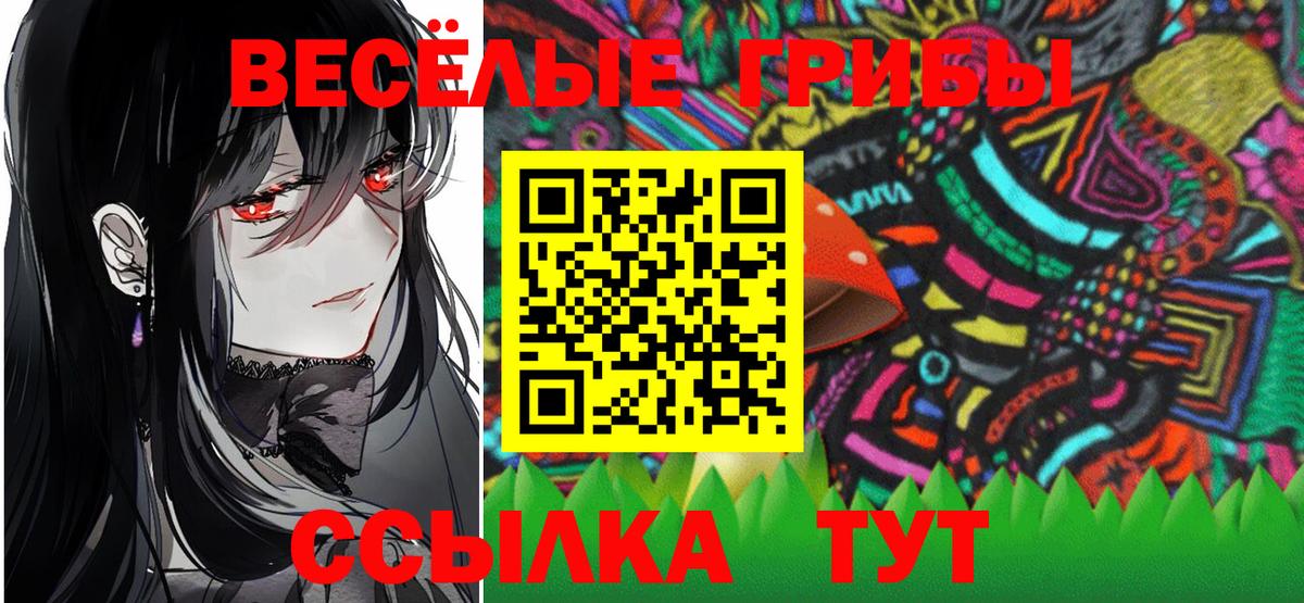 Псилоцибиновые грибы Psilocybine cubensis Ухта