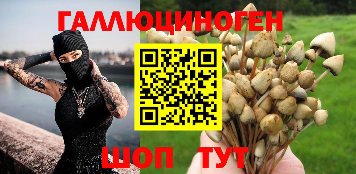 Ухта  Галлюциногенные грибы GOLDEN TEACHER  Вход с VPN 